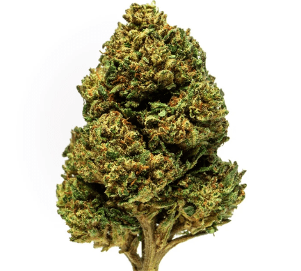 Elektra Marijuana